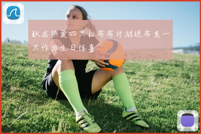 狄龙热爱四只拉布布计划送布克一只作为生日惊喜