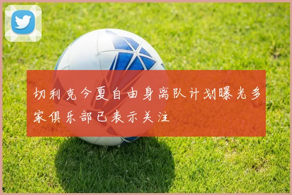 切利克今夏自由身离队计划曝光多家俱乐部已表示关注